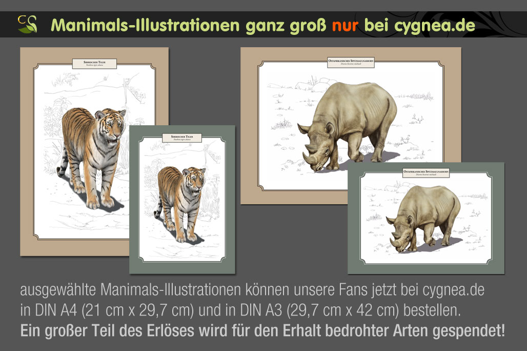 Manimals – Leipziger Zoo (Zoo-Edition) - Extra